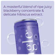 Close-up of Mingle blackberry bellini mocktail can with text highlighting blackberry & hibiscus flavors